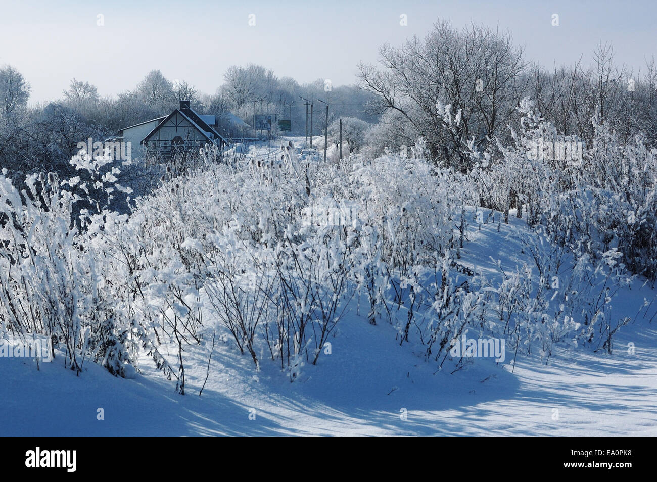 Winter-Ruhe, die Landschaft mit schönen mattierte Bäume in kalten sonnigen Tag eingefroren Stockfoto