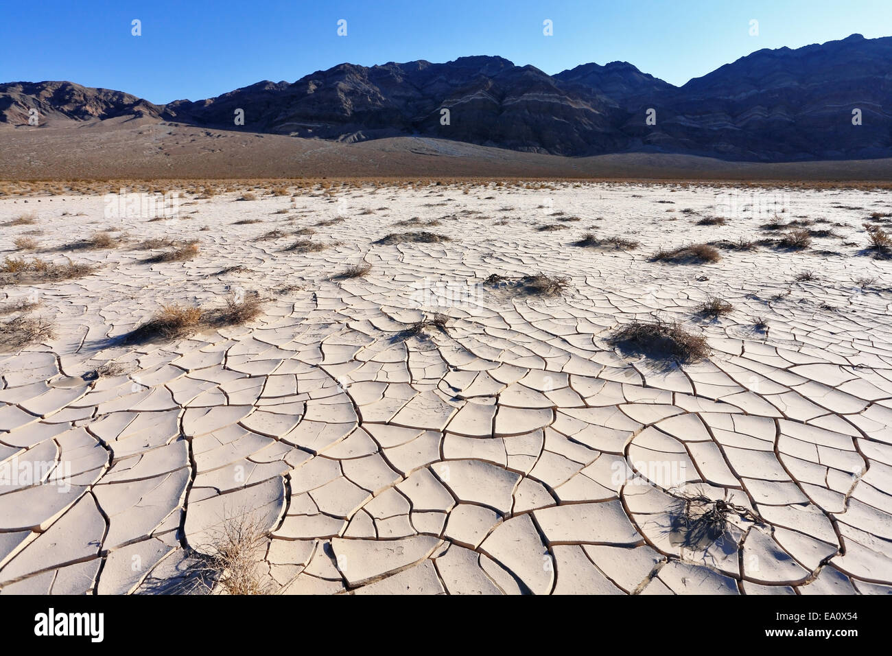 Gebrochene Ton Stockfoto
