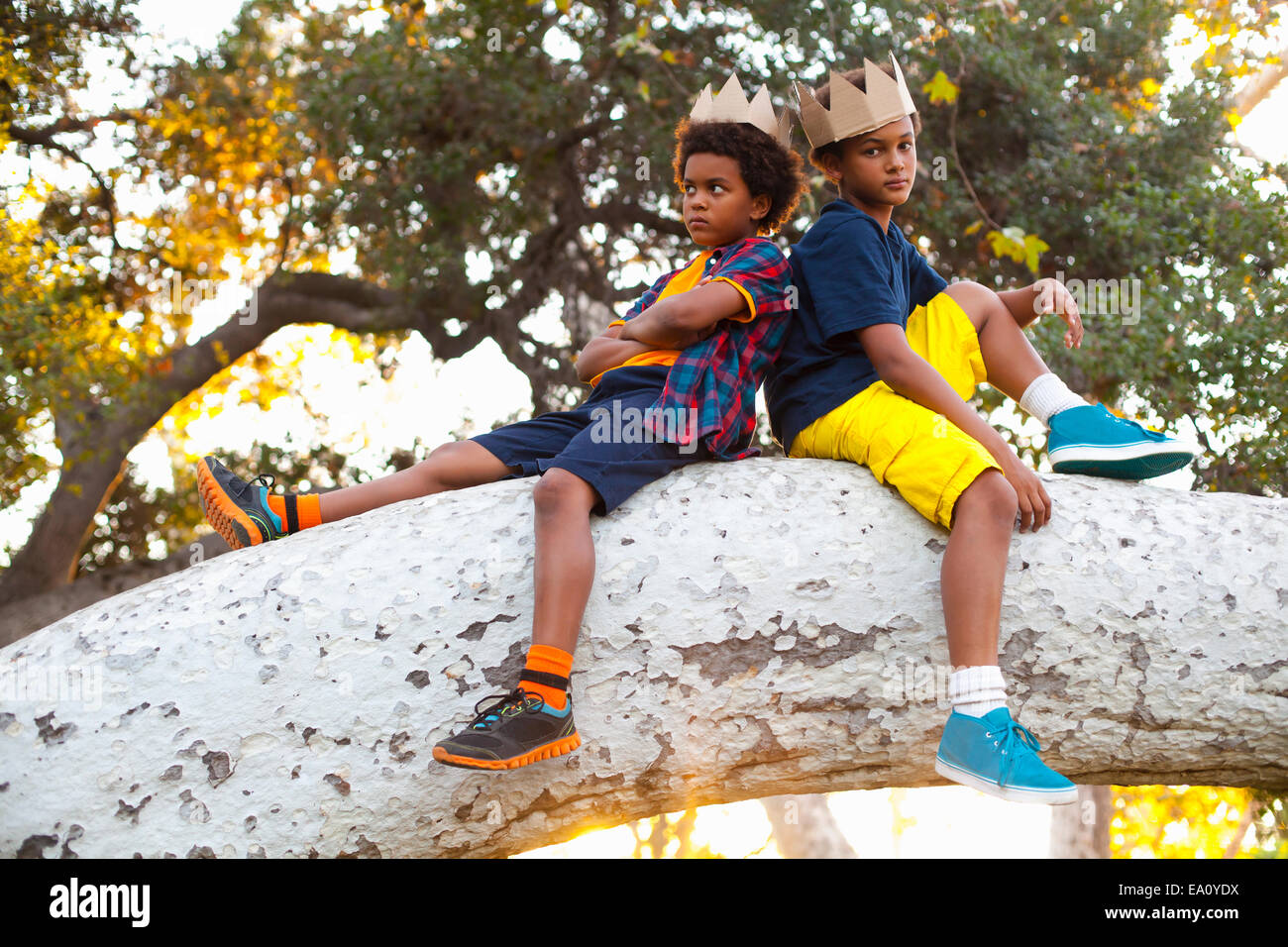 Zwei Brüder sitzen Rücken an Rücken auf Park-Ast mit Kronen auf Kopf Stockfoto
