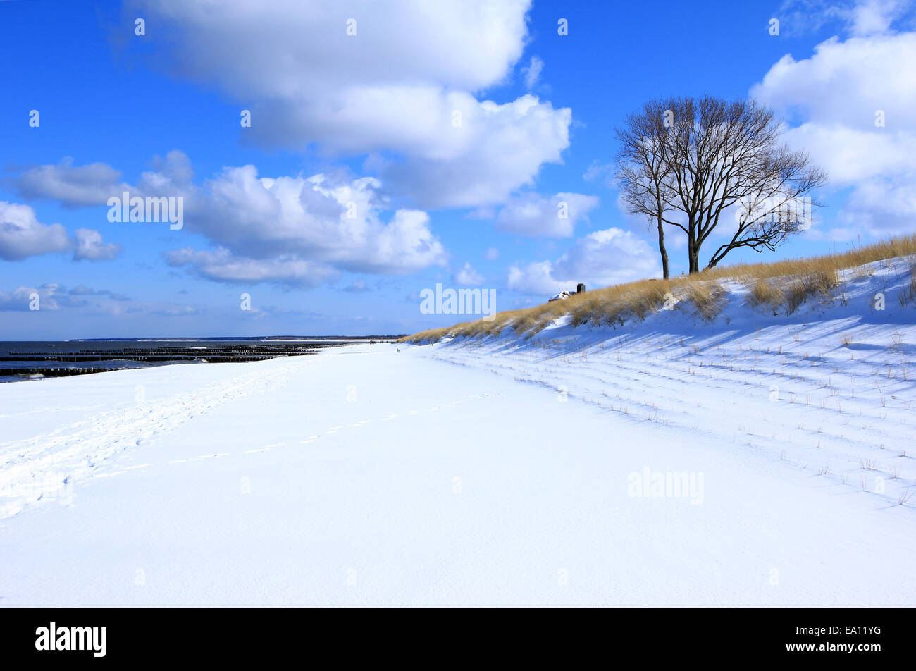 Strand an der Ostsee im Winter, Deutschland Stockfoto