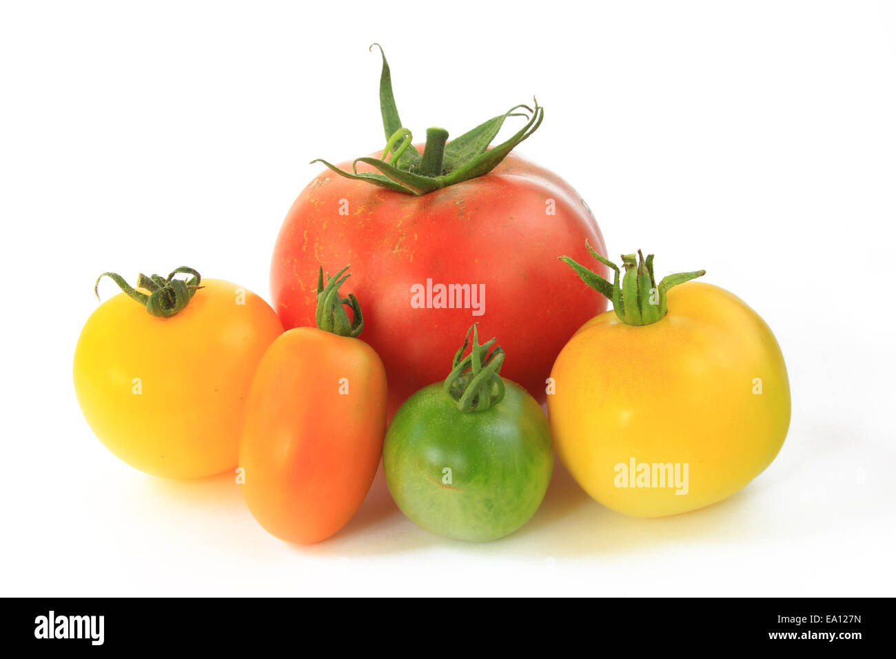 Verschiedene Arten von Tomaten Stockfoto