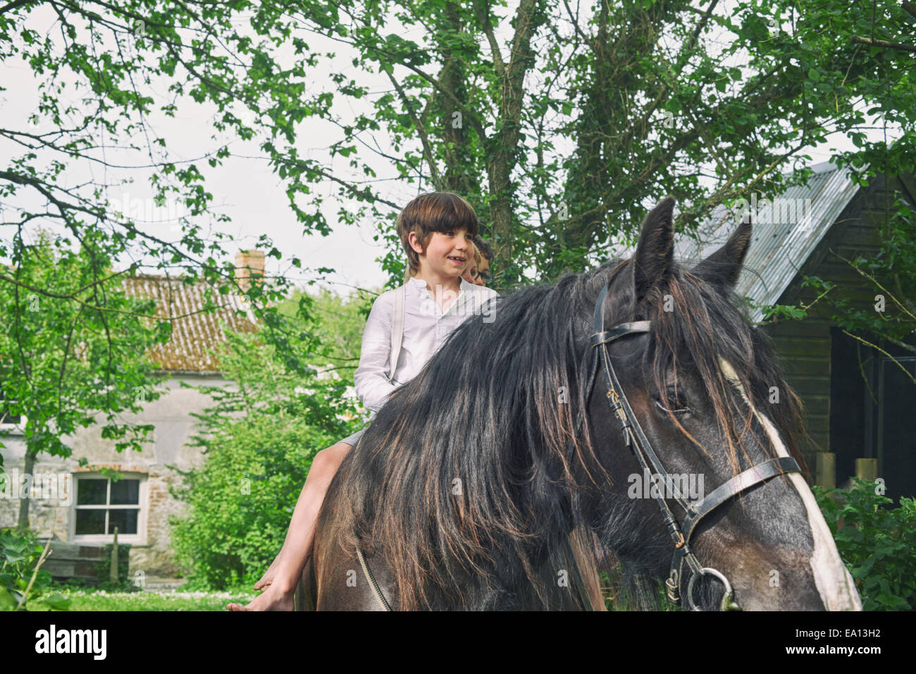 Drei Jungs reiten auf Pferd am Bauernhof Stockfoto