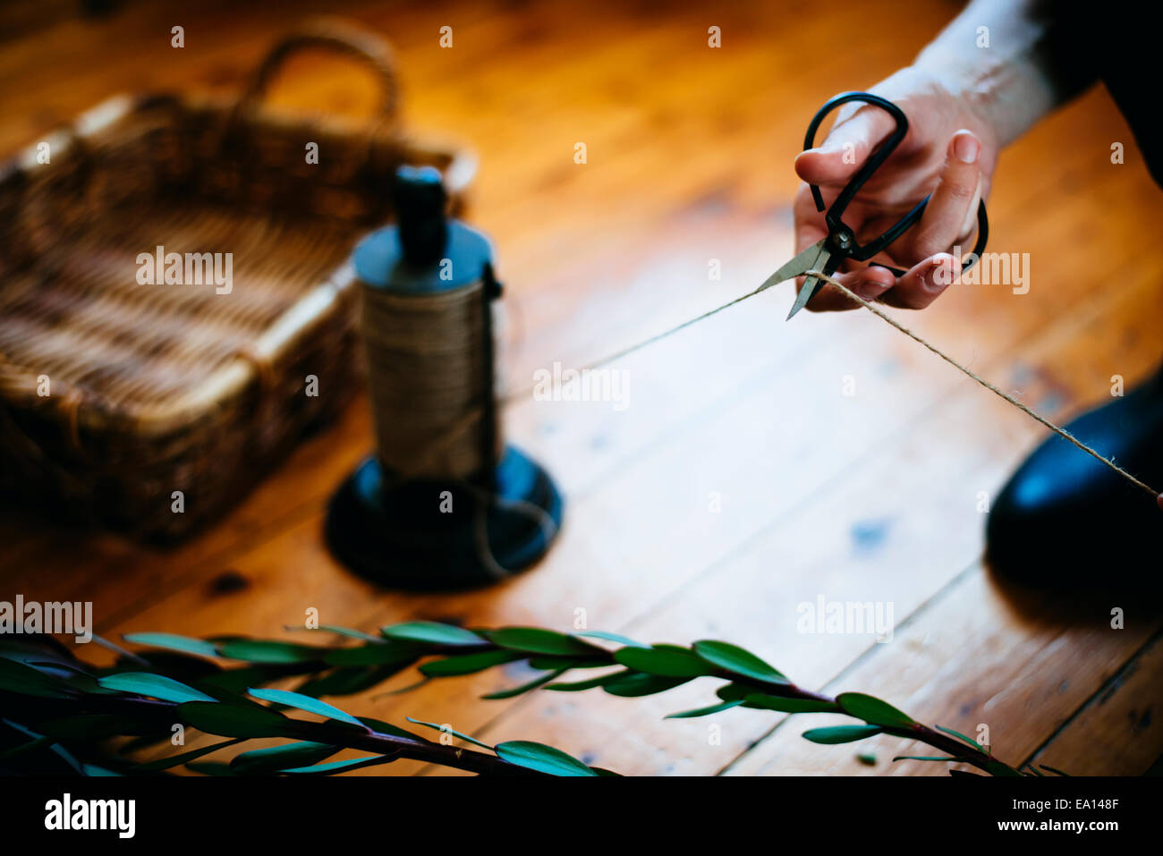 Frau arbeitet auf Pflanze Stecklinge Stockfoto