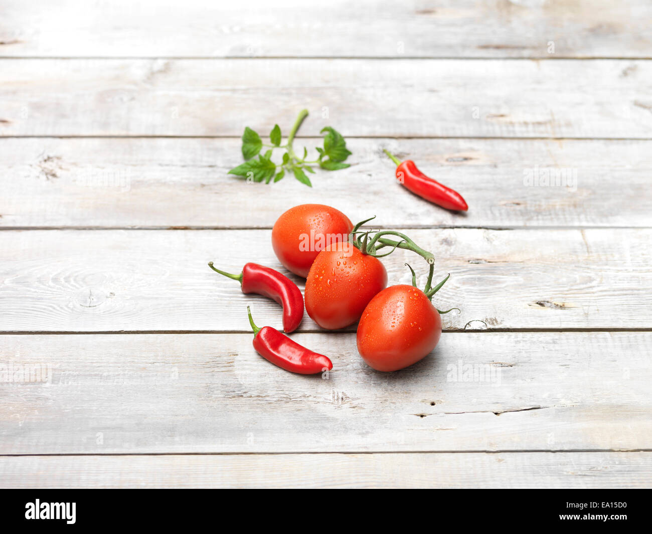 Rote Chilischote, saftige Süße Tomaten, rohe grüne Basilikum Stockfoto