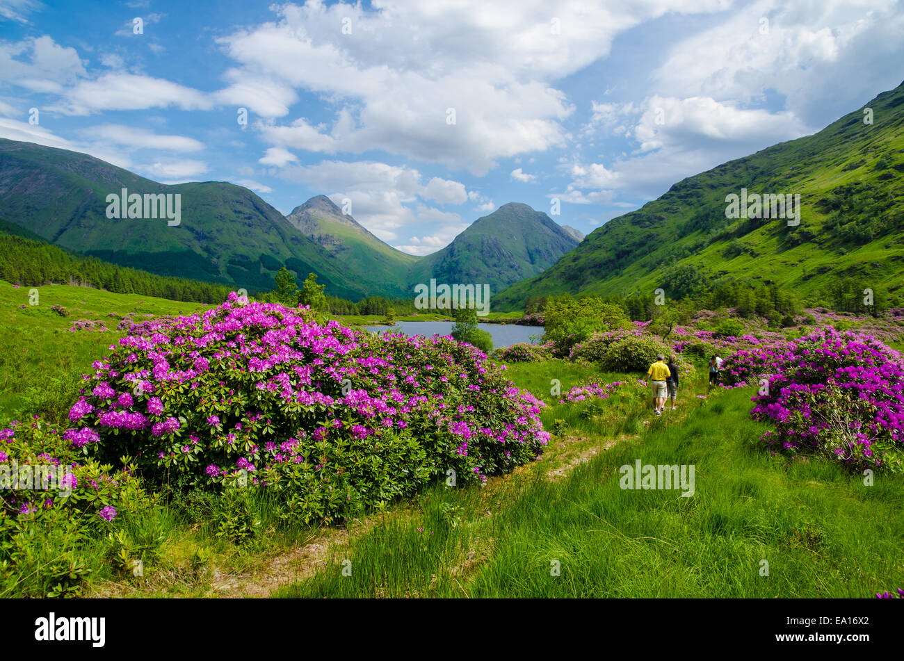 Wandern in den schottischen highlands Stockfoto