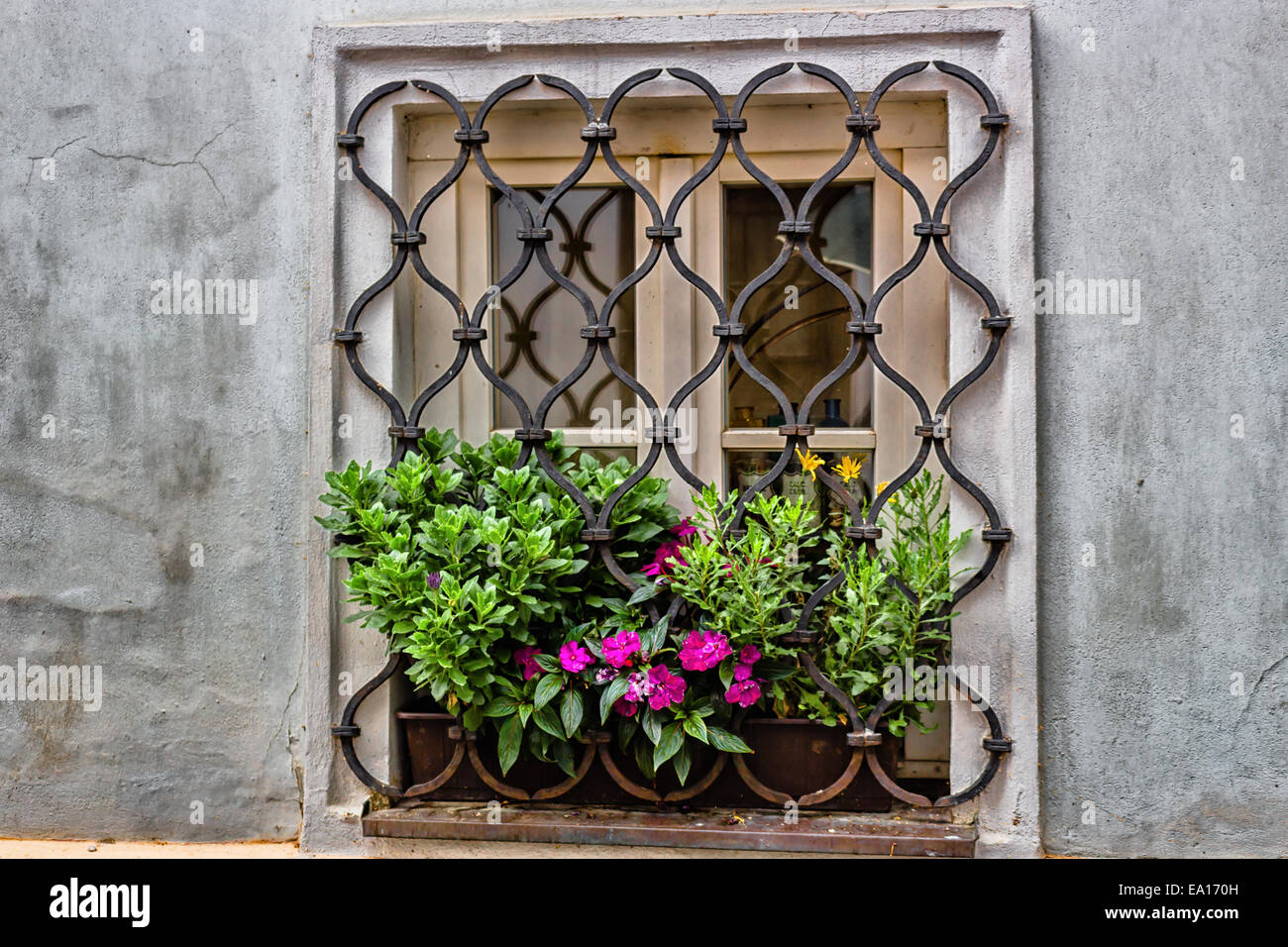 Gebäude und Häuser im historischen Zentrum von Prag: Fenster mit Topf Blumen, gelb und Pink Stockfoto