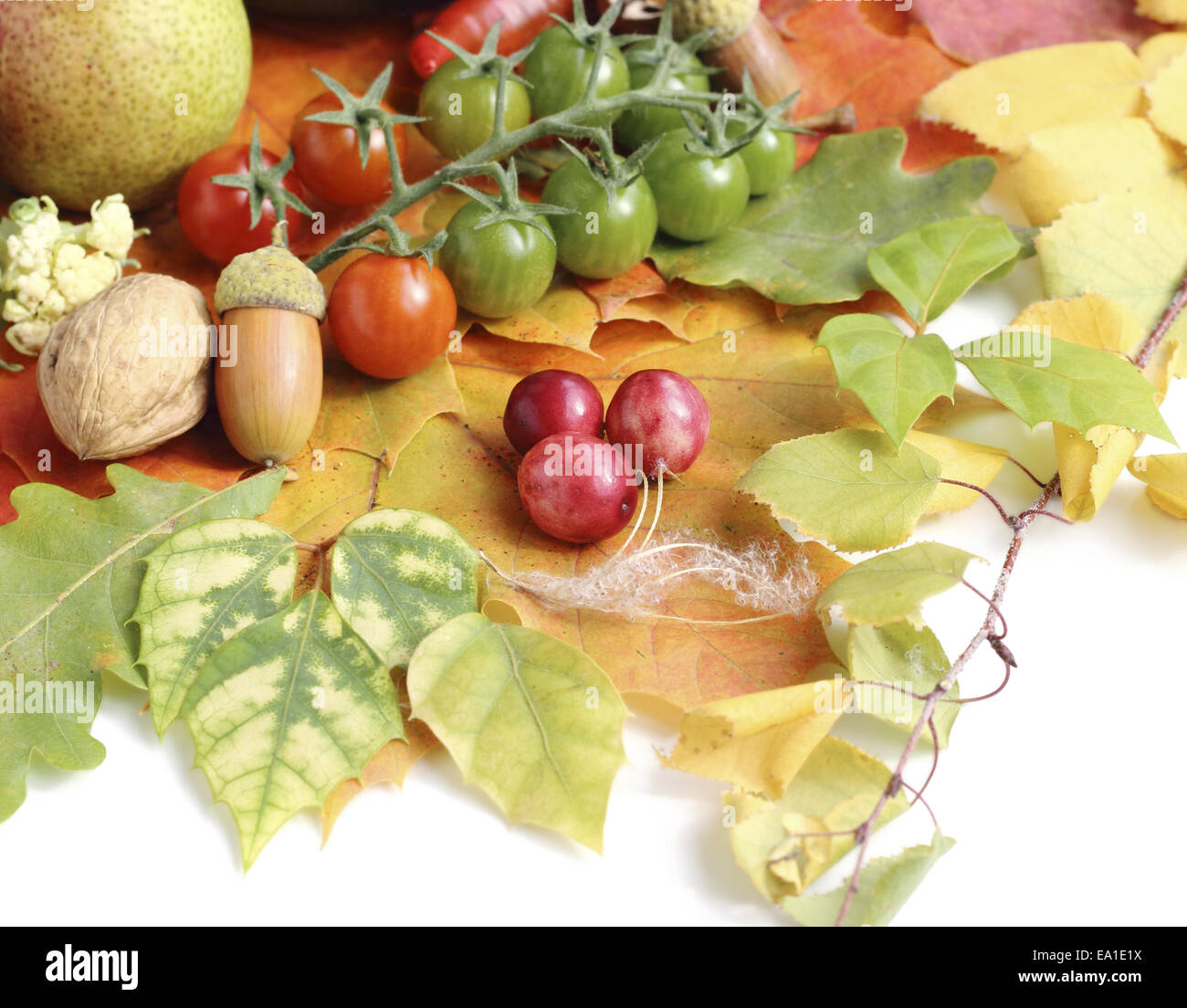 Gesunde Bio-Gemüse und Früchte Stockfoto