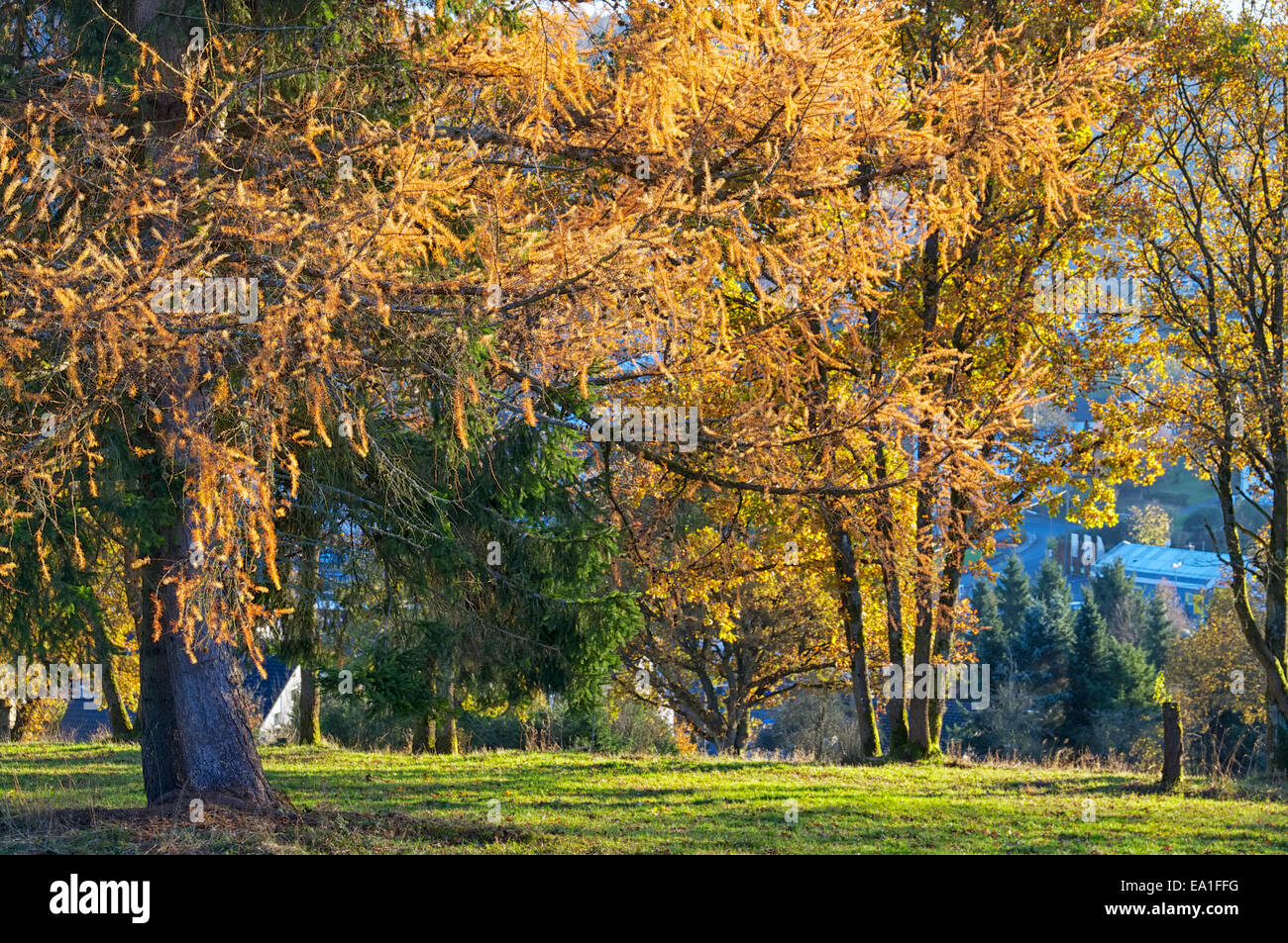 Herbstliche Landschaft Stockfoto