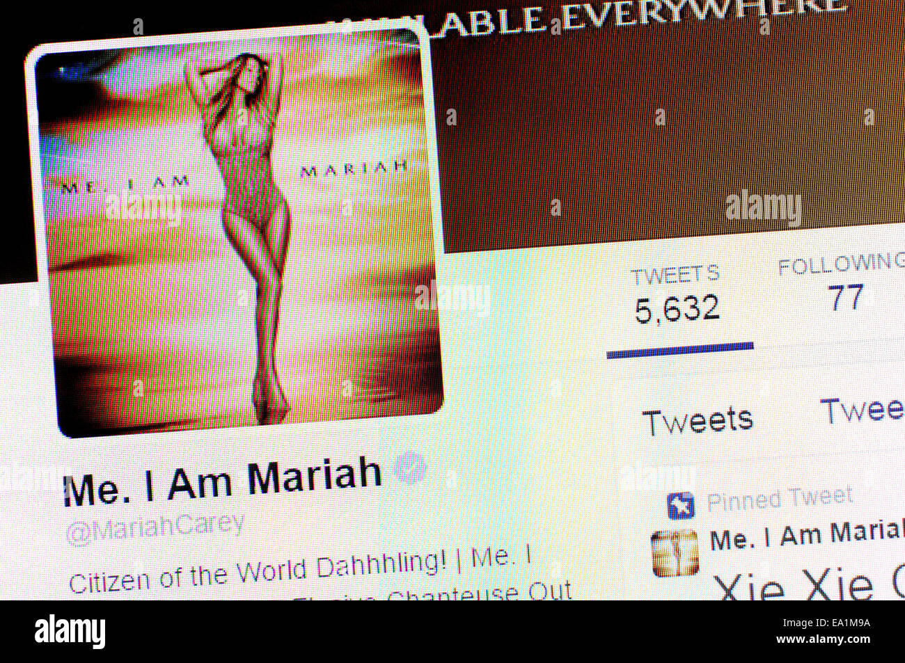 Mariah Carey-Twitter-Account - Screenshot der Profilseite Stockfoto