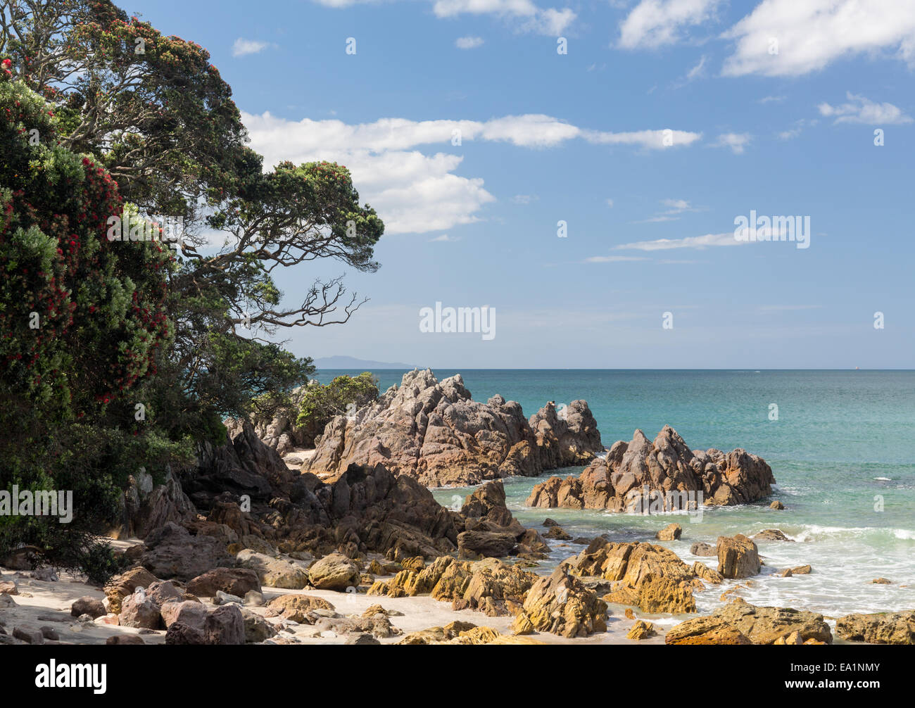 Felsiger Strand in Tauranga NZ Stockfoto