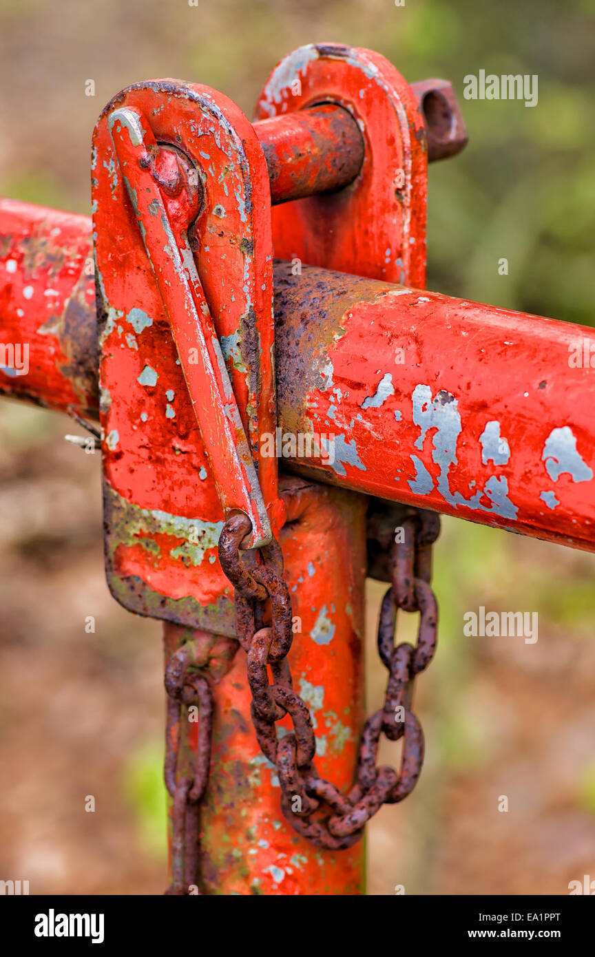 Schönheit der alten Dinge Stockfoto
