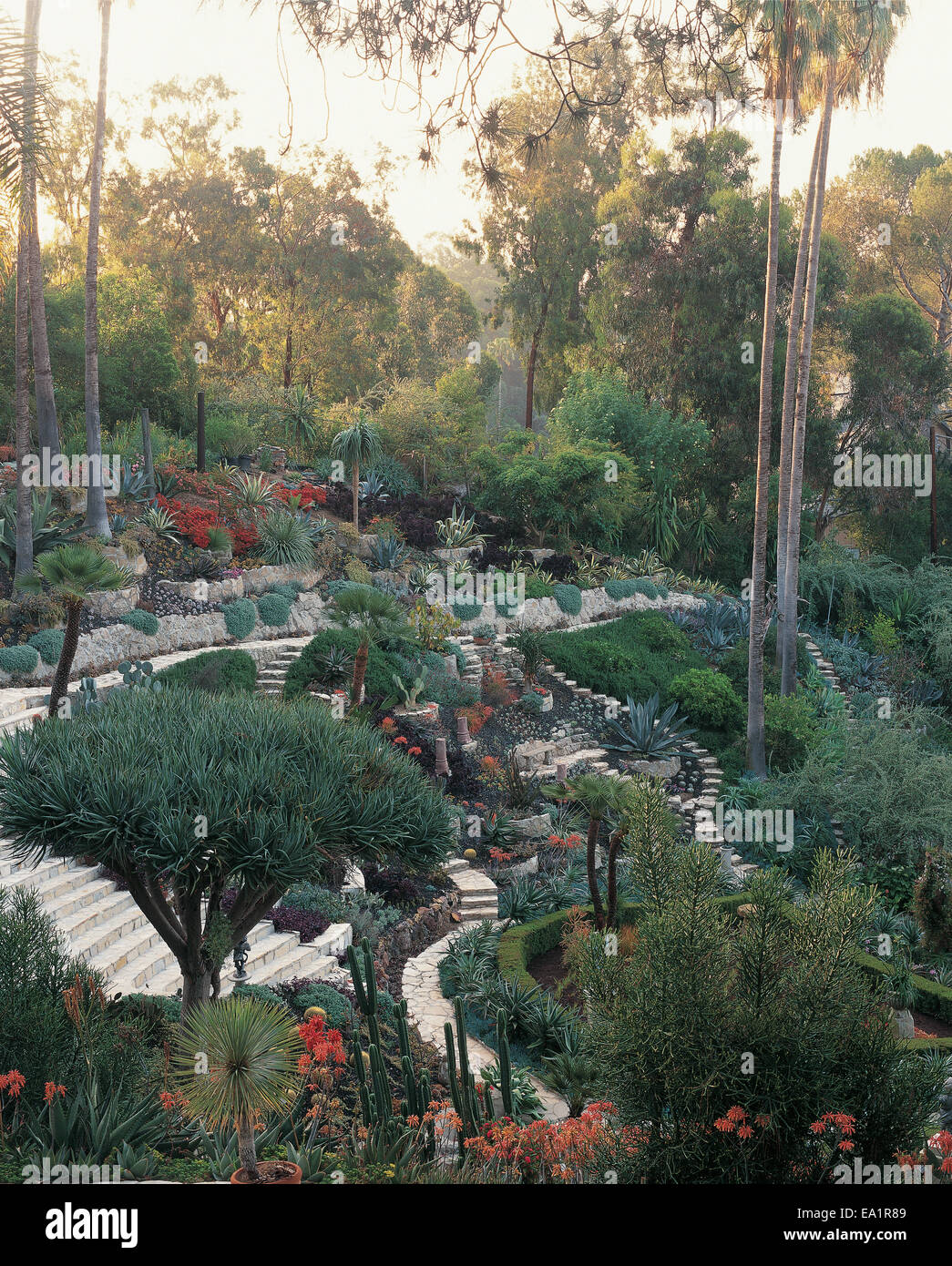 Garten der Wüste Stil in Los Angeles, Kalifornien Stockfoto