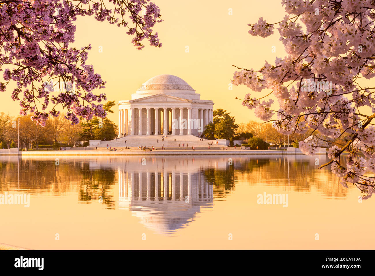 Schön früh Jefferson Memorial Stockfoto