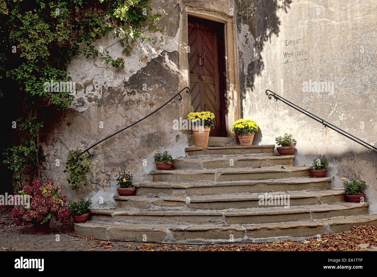 Treppe von einem alten Winzerhaus Stockfoto