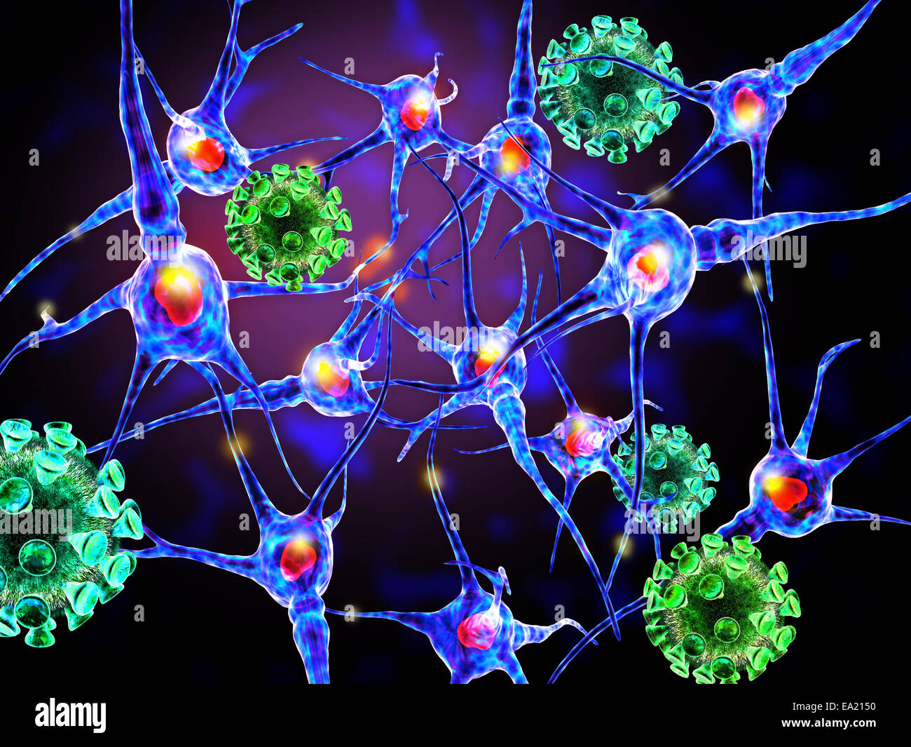 3D Darstellung der Viren, die Nervenzellen angreifen Stockfoto
