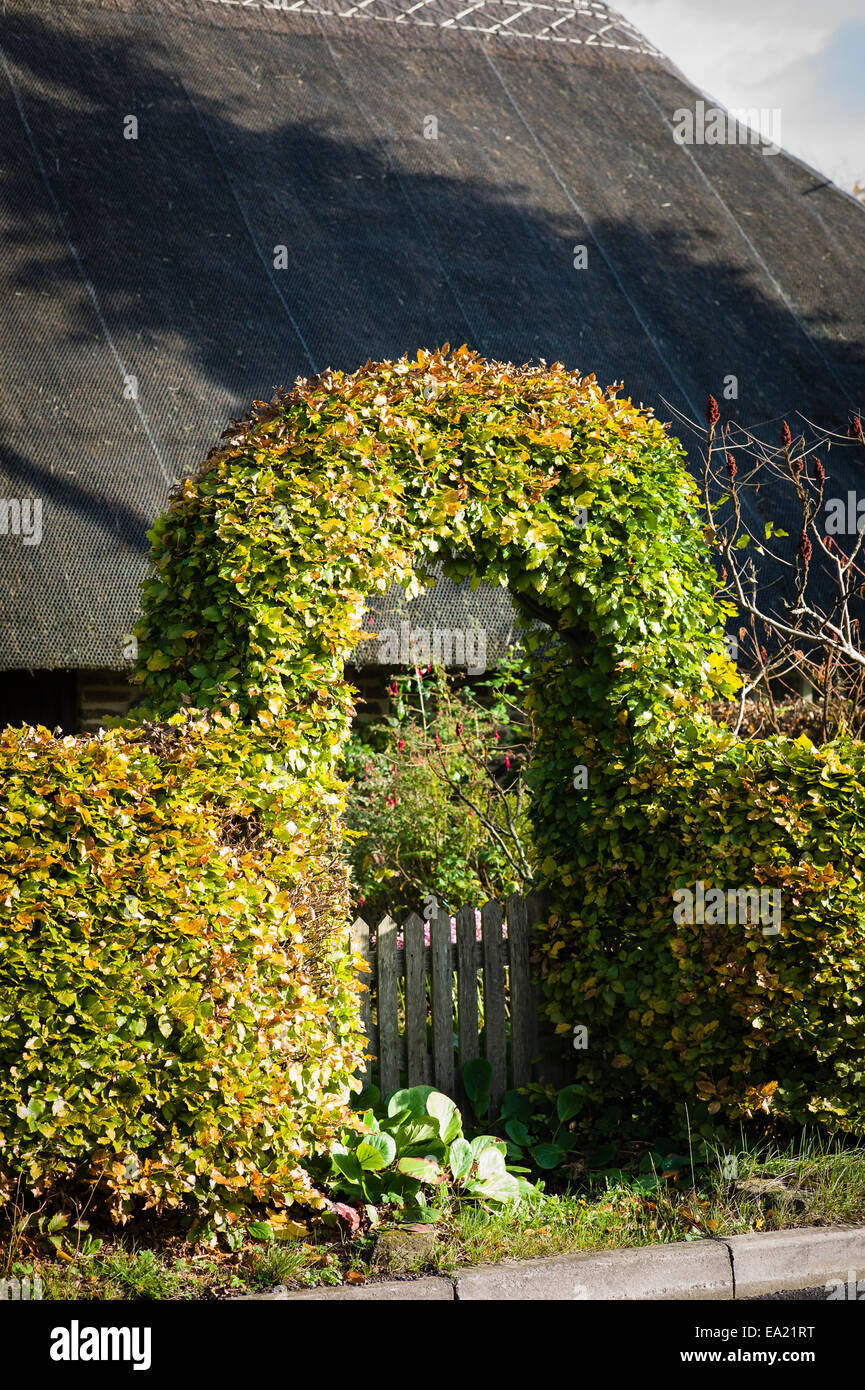 Eine Buche Torbogen über ein Gartentor cottage Stockfoto