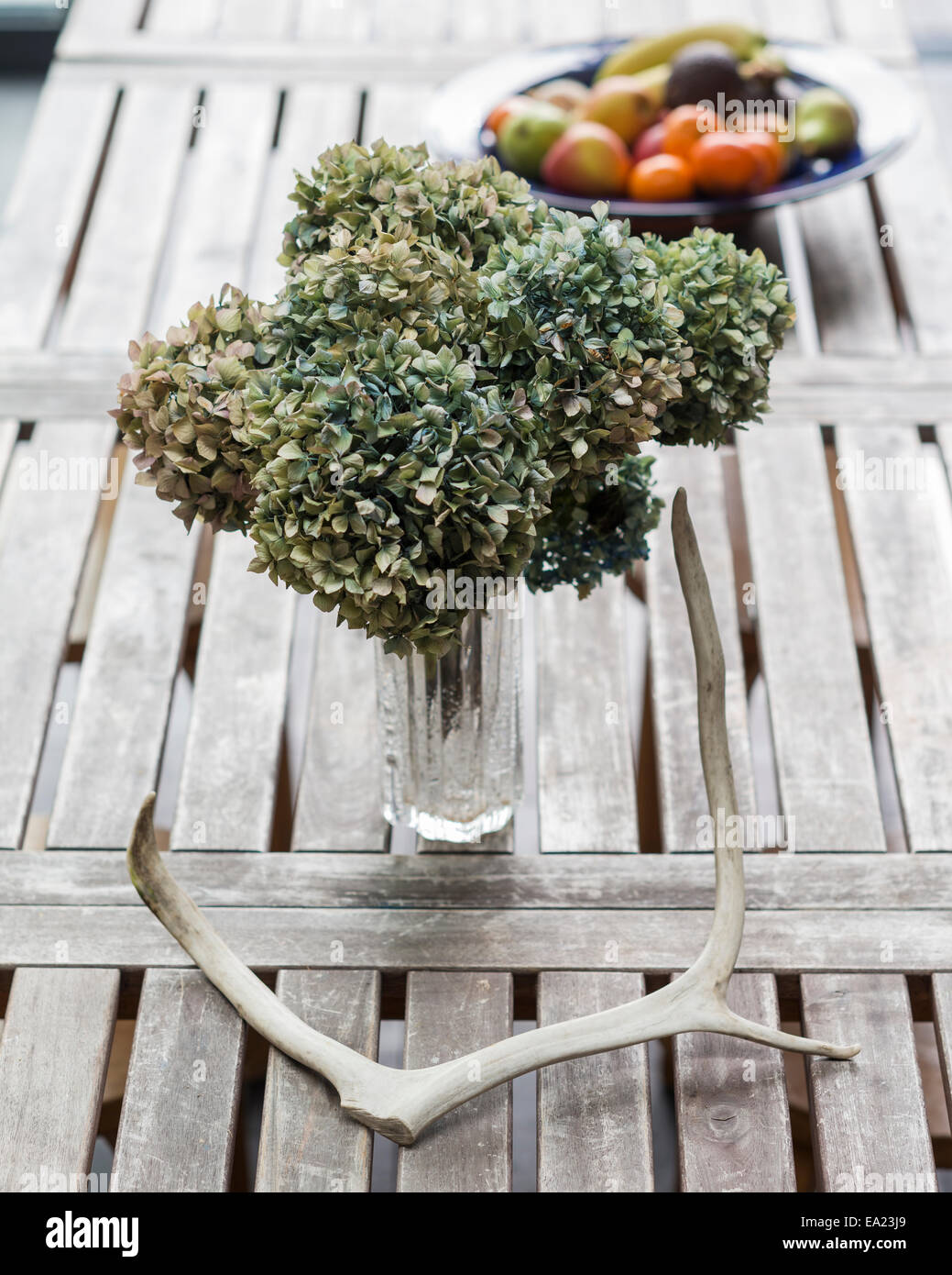 Getrocknete Hortensien in einem Glas auf einem Holztisch mit Geweih und Obst Schale Stockfoto