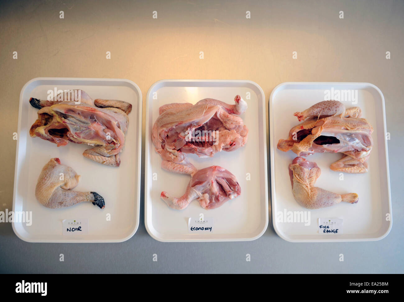 Vergleich der verschiedenen Arten von Huhn - Noir, Wirtschaft und Free Range an einem Cookery School UK Stockfoto