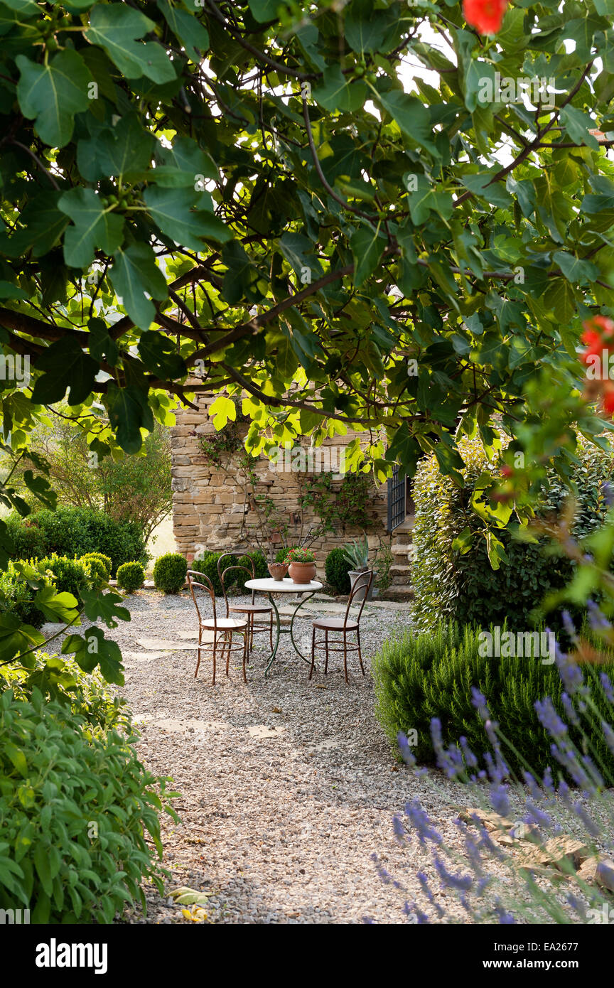 Französischen Stil Tisch und Stühlen, die durch die Blätter der einen Feigenbaum im Garten mit Kies Terrasse gesehen Stockfoto