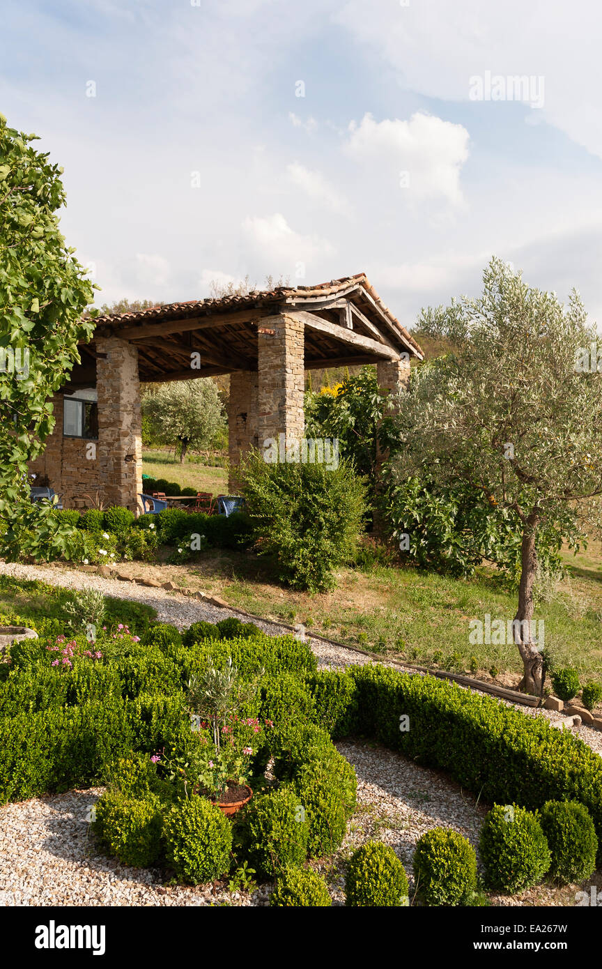 Olivenbaum und Box hedge Hecke im Garten der umbrische Bauernhaus Stockfoto