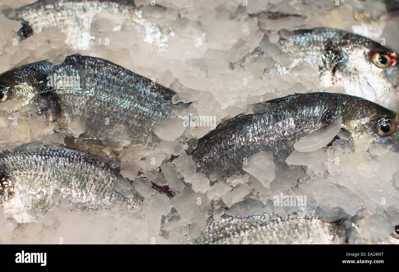 Alle Arten von gefrorenem Fisch auf dem Markt. Stockfoto