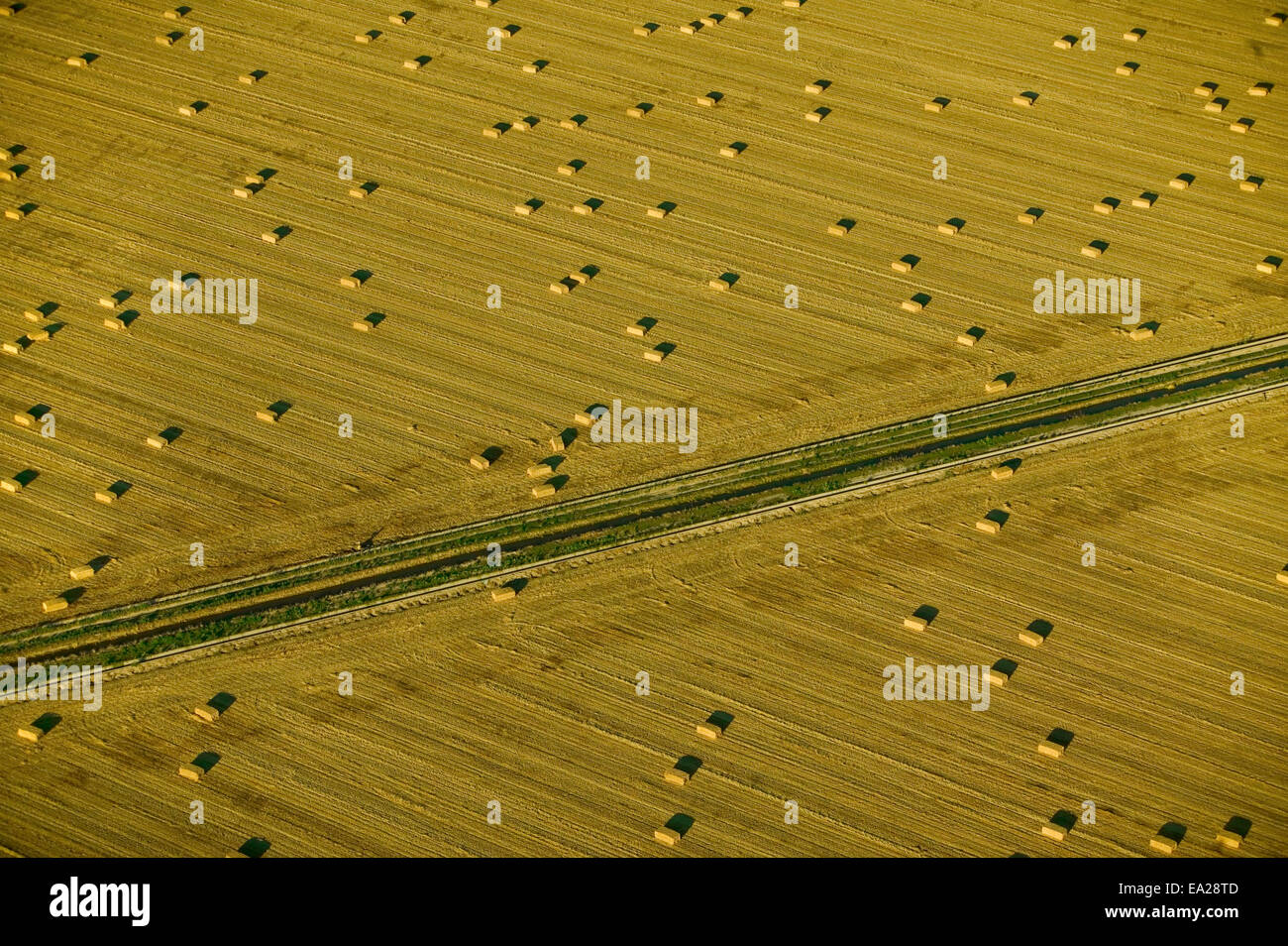 Landwirtschaft - Luftbild von eine Heu-Feld durch einen Bewässerungskanal mit Reihen von großen halbe Tonne Heuballen halbiert / Idaho, USA. Stockfoto