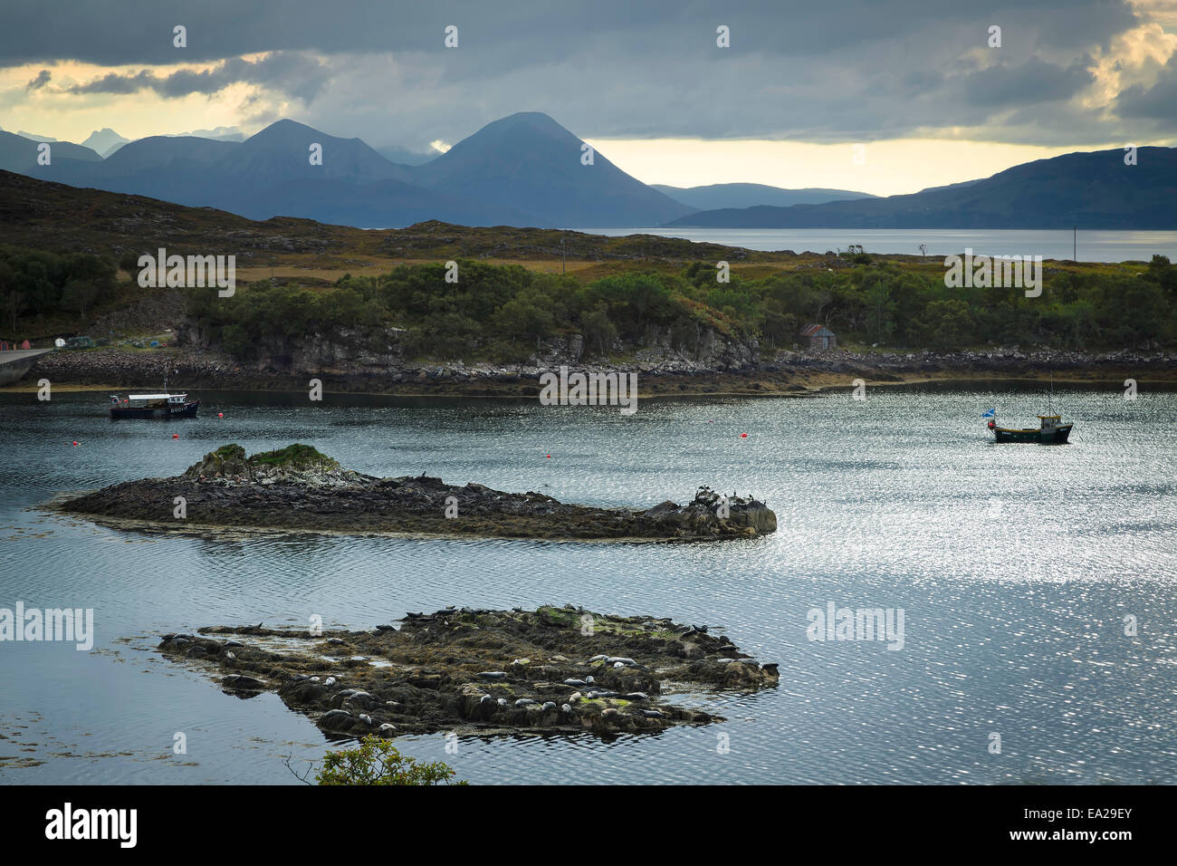 Kegelrobben, sonnen sich auf einer kleinen Insel auf der Ard-Dhubh Halbinsel mit der Isle of Raasay und Skye im Hintergrund, Schottland Stockfoto