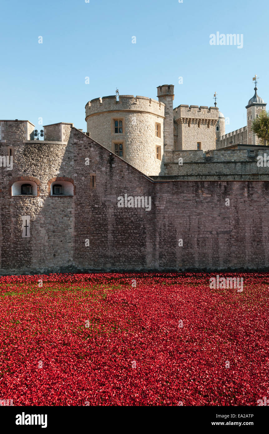 Tower von London Mohnblumen Kunst Ausstellung 2014 Stockfoto
