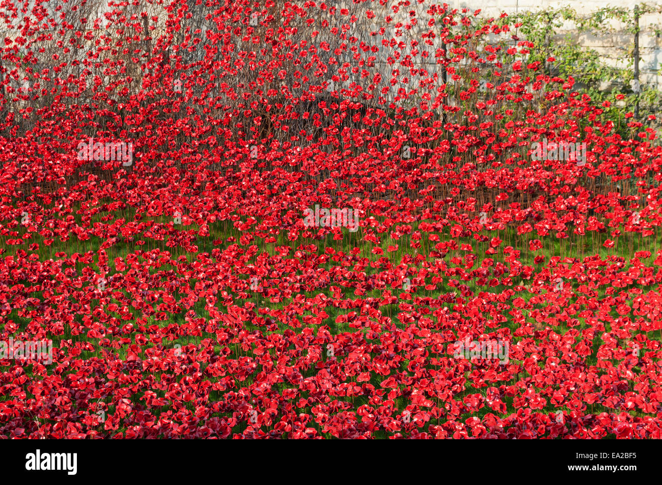 Tower von London Mohnblumen Kunst Ausstellung 2014 Stockfoto