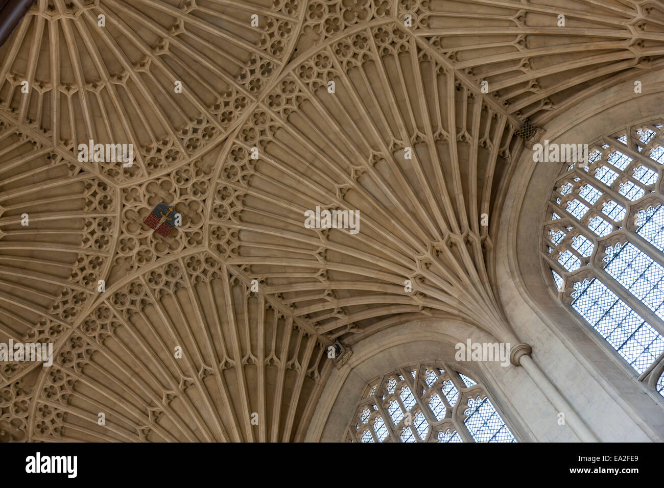 Die schöne und zarte Fan gewölbte Decke des Bath Abbey in Bath, Somerset Stockfoto