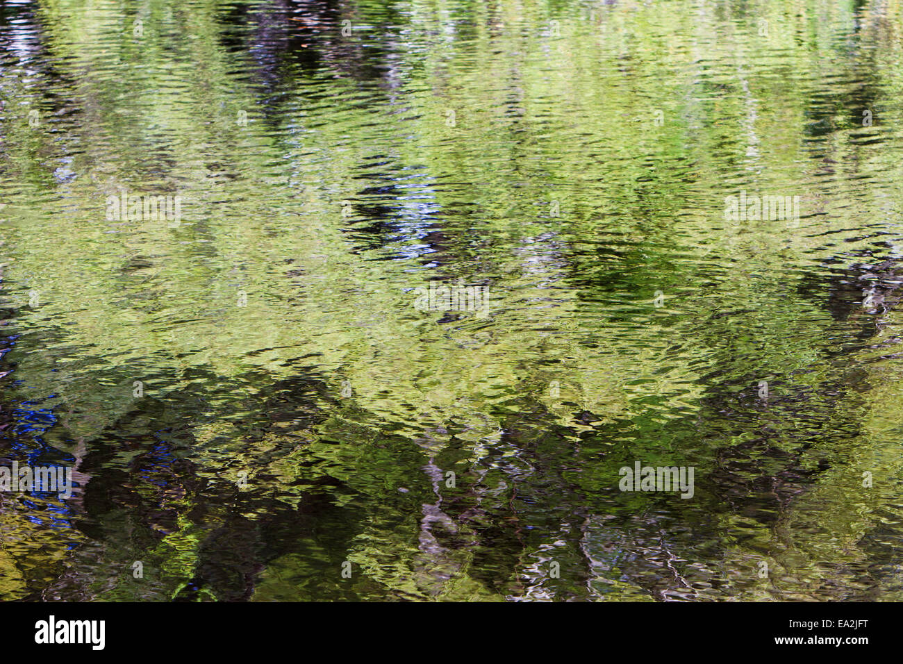 Reflexionen von Bäumen am Wasser. Stockfoto