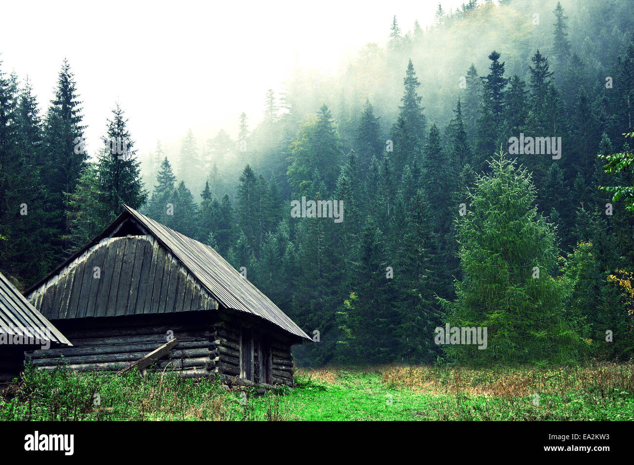 Kleine alte Holzhaus in nebligen Wald. Berge-Landschaft. Natur-Konzeptbild. Stockfoto