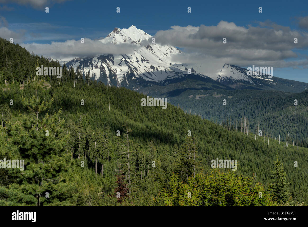 Oregons Mount Jefferson, von einem nahe gelegenen Berg aus gesehen Stockfoto