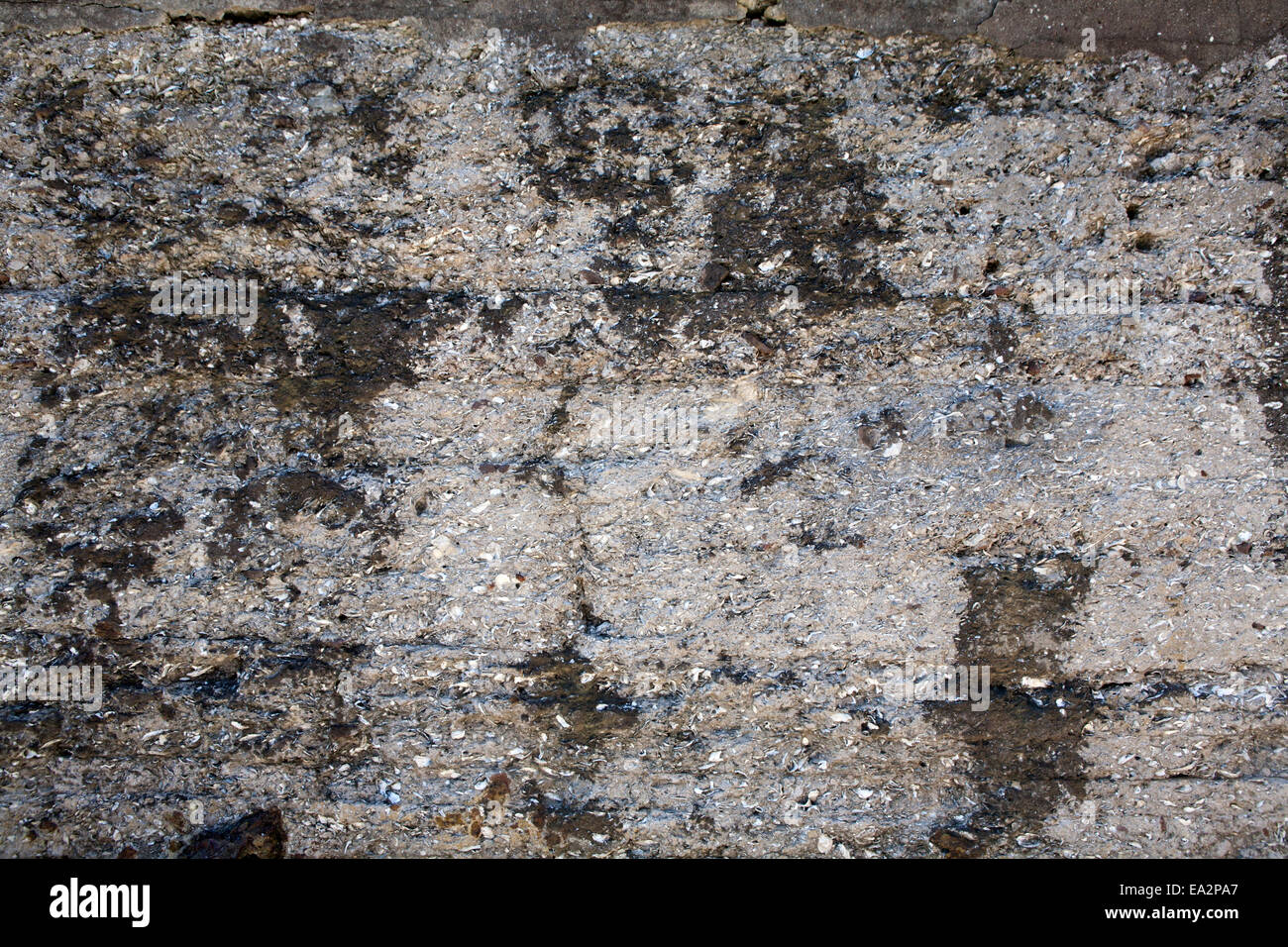 Beton, die Mauern von Fort Sumter zu unterstützen, ausgebaggert Materialien vom Hafen, einschließlich Schalen. Stockfoto