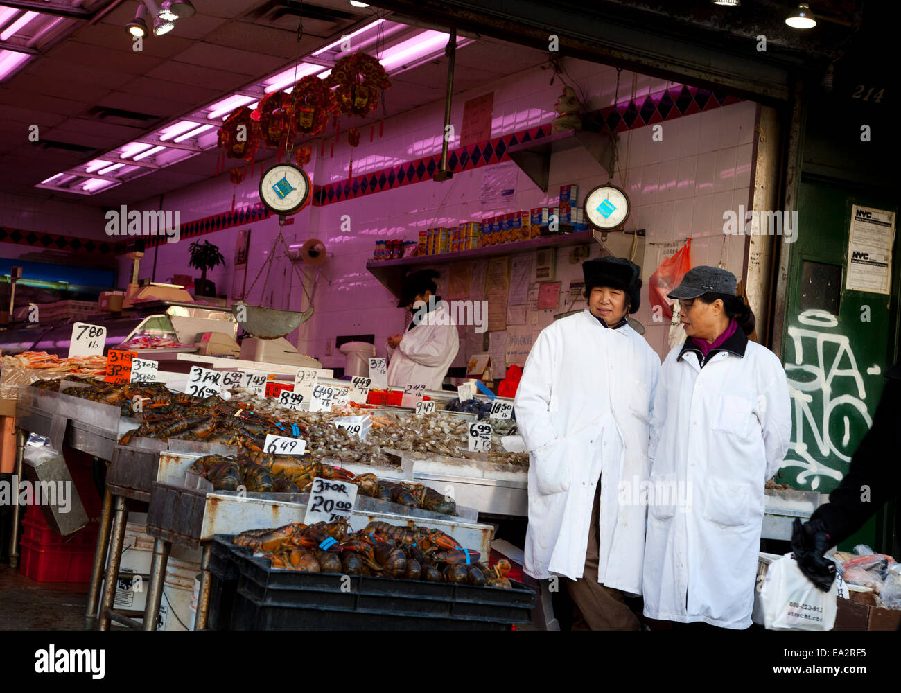 Fisch Markt, Chinatown, Manhattan, New York, Vereinigte Staaten von Amerika Stockfoto