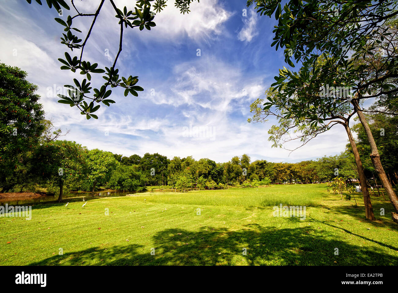 Stadtpark mit grünem Rasen und einige Bäume Stockfoto