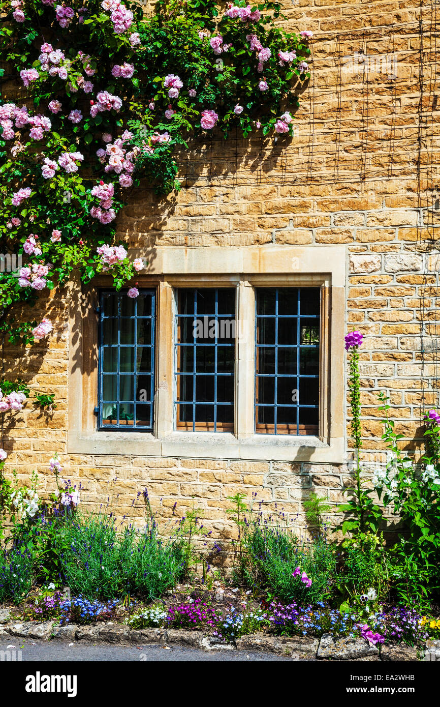 Cotswold Steinhaus mit verbleitem, zweibogigen Fenster und abschweifende Rosen vor. Stockfoto