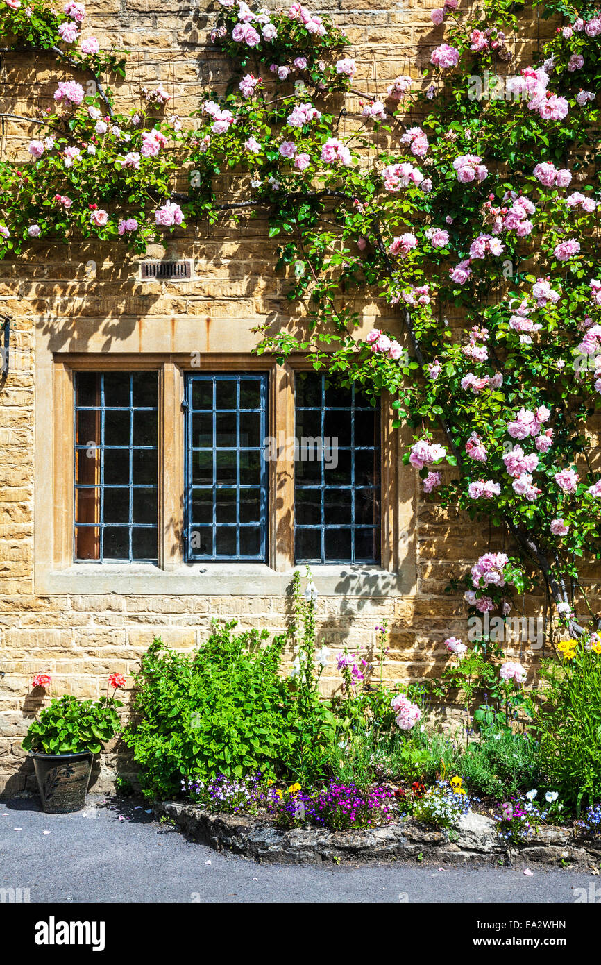 Cotswold Steinhaus mit verbleitem, zweibogigen Fenster und abschweifende Rosen vor. Stockfoto