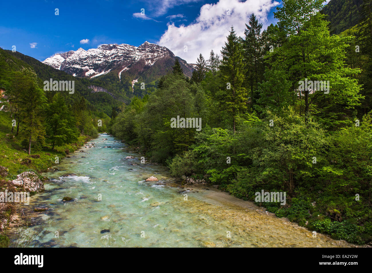 Soča und die Julischen Alpen im Soca-Tal, Nationalpark Triglav (Triglavski Narodni Park), Slowenien, Europa Stockfoto