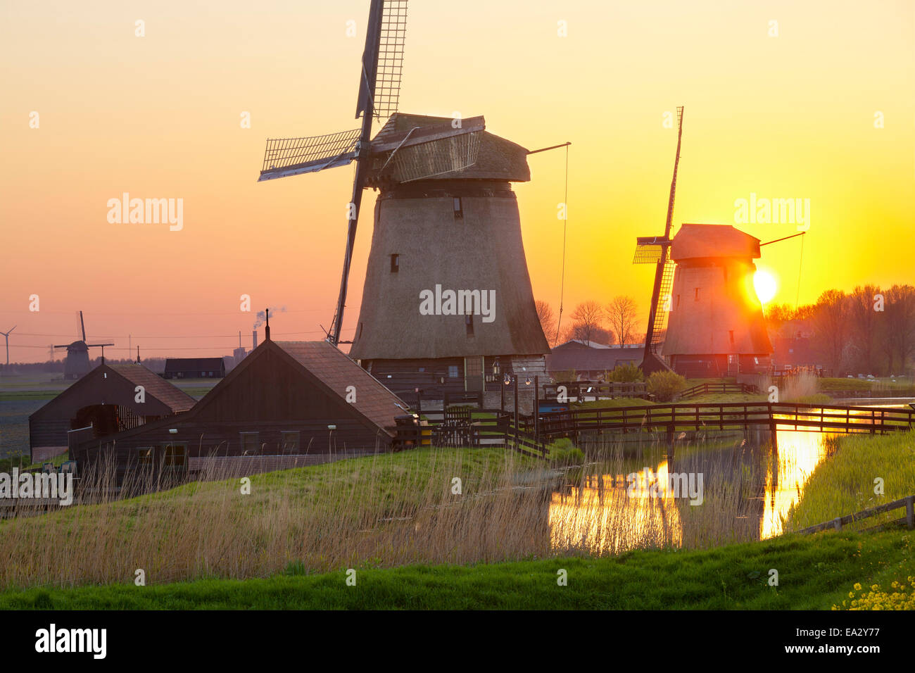 Windmühlen bei Sonnenuntergang, Schermerhorn, Nord-Holland, Niederlande, Europa Stockfoto