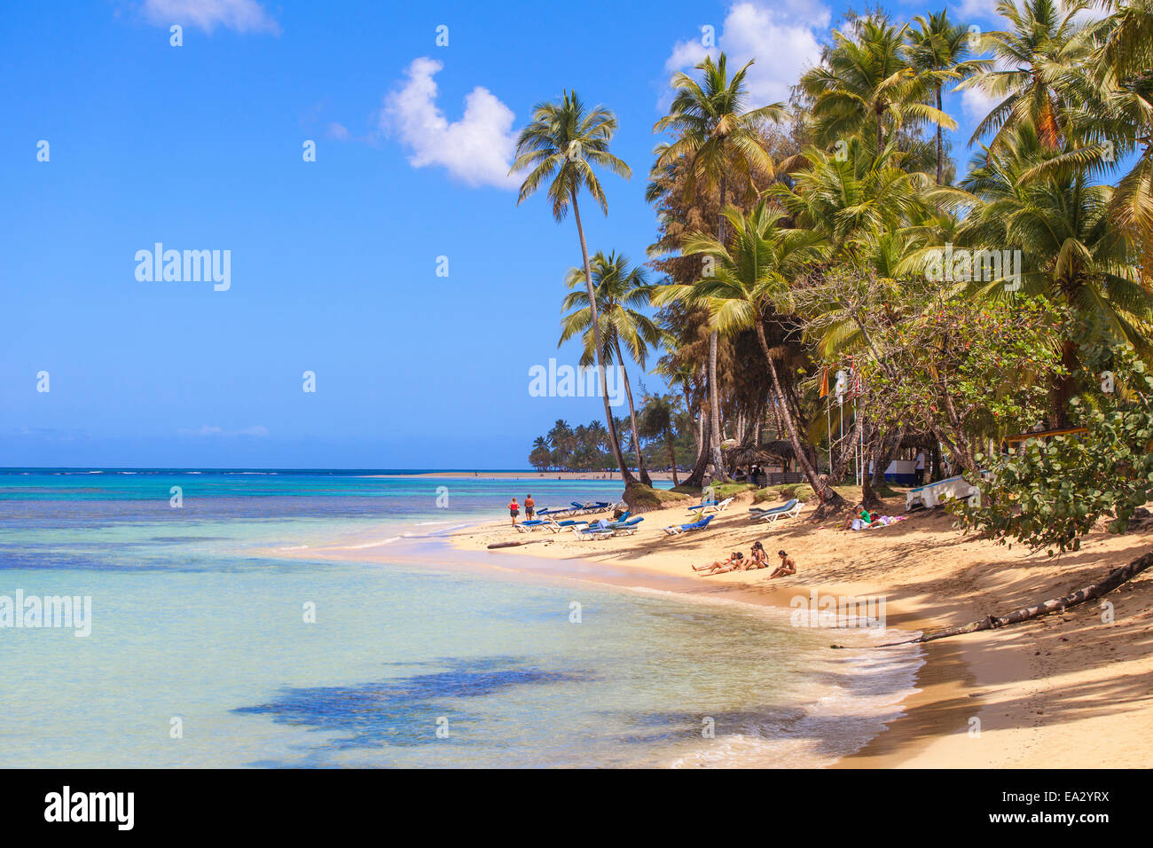 Strand von Las Terrenas, Halbinsel Samaná, Dominikanische Republik, Karibik, Karibik, Mittelamerika Stockfoto