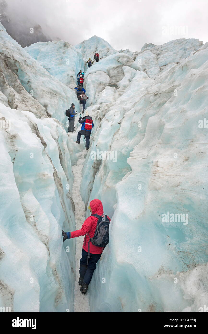 Bergsteiger auf Gletscher, Fox Glacier, Südinsel, Neuseeland, Pazifik Stockfoto