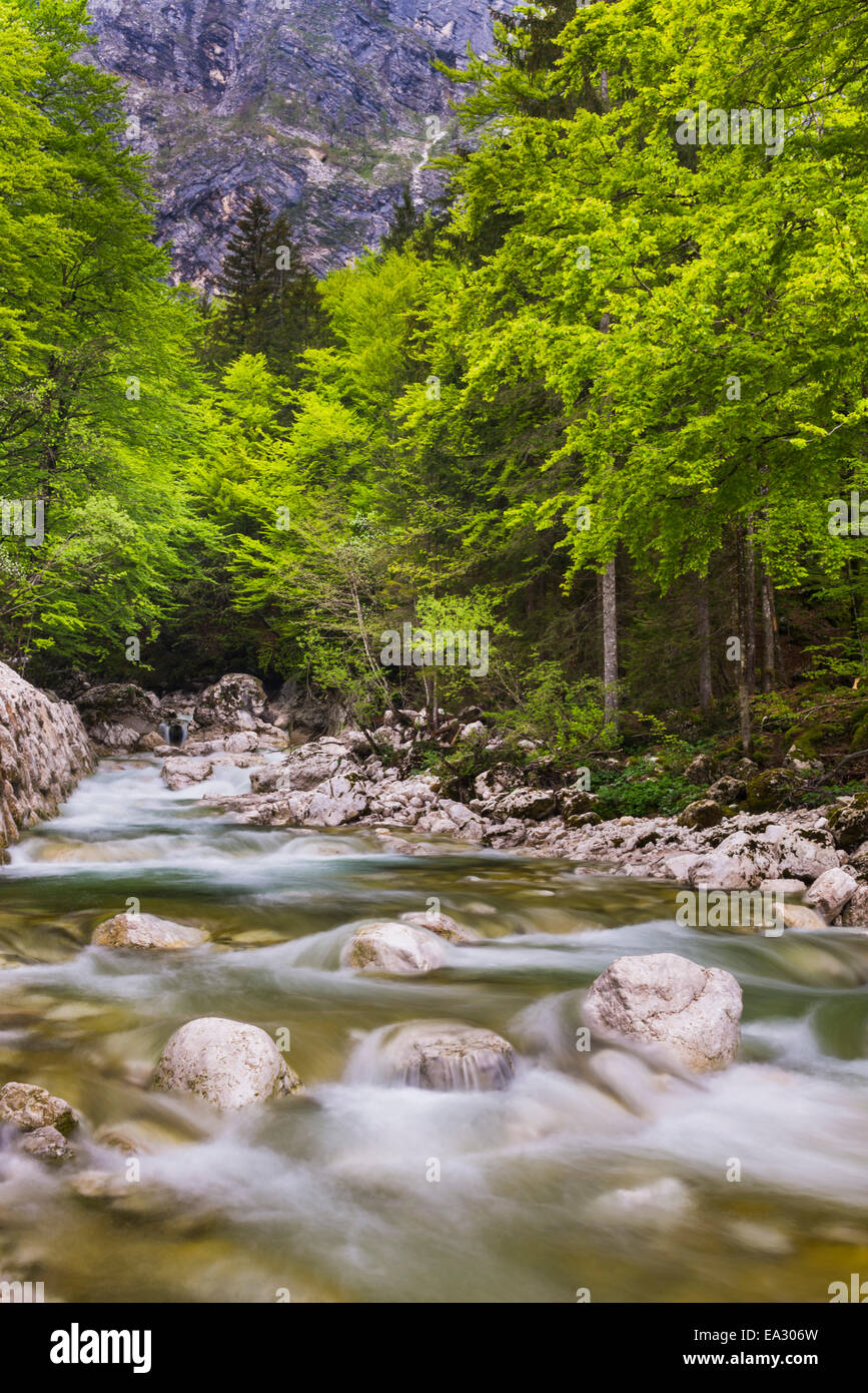 Bohinj-Fluss in Bohinj-Becken, Nationalpark Triglav, Julischen Alpen, Slowenien, Europa Stockfoto