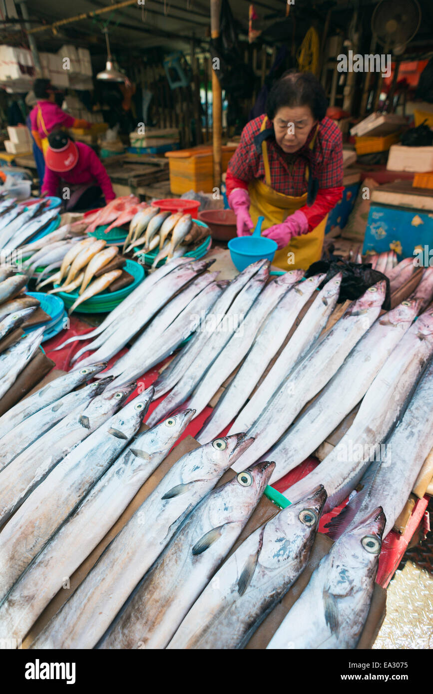 Jagalchi Fisch Markt, Busan, Südkorea, Asien Stockfoto