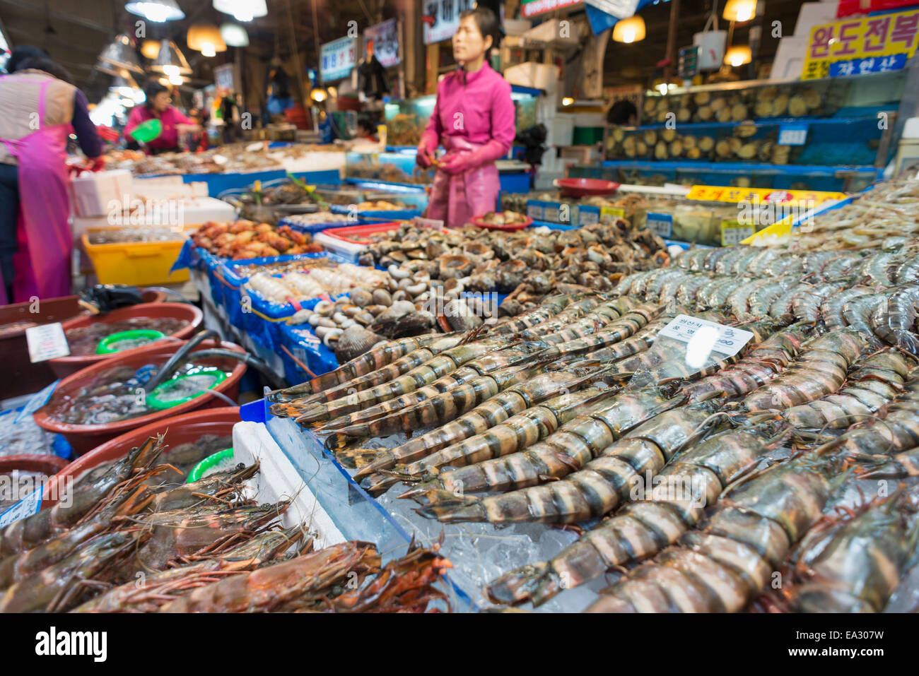 Noryangjin Fisch Markt, Seoul, Südkorea, Asien Stockfoto