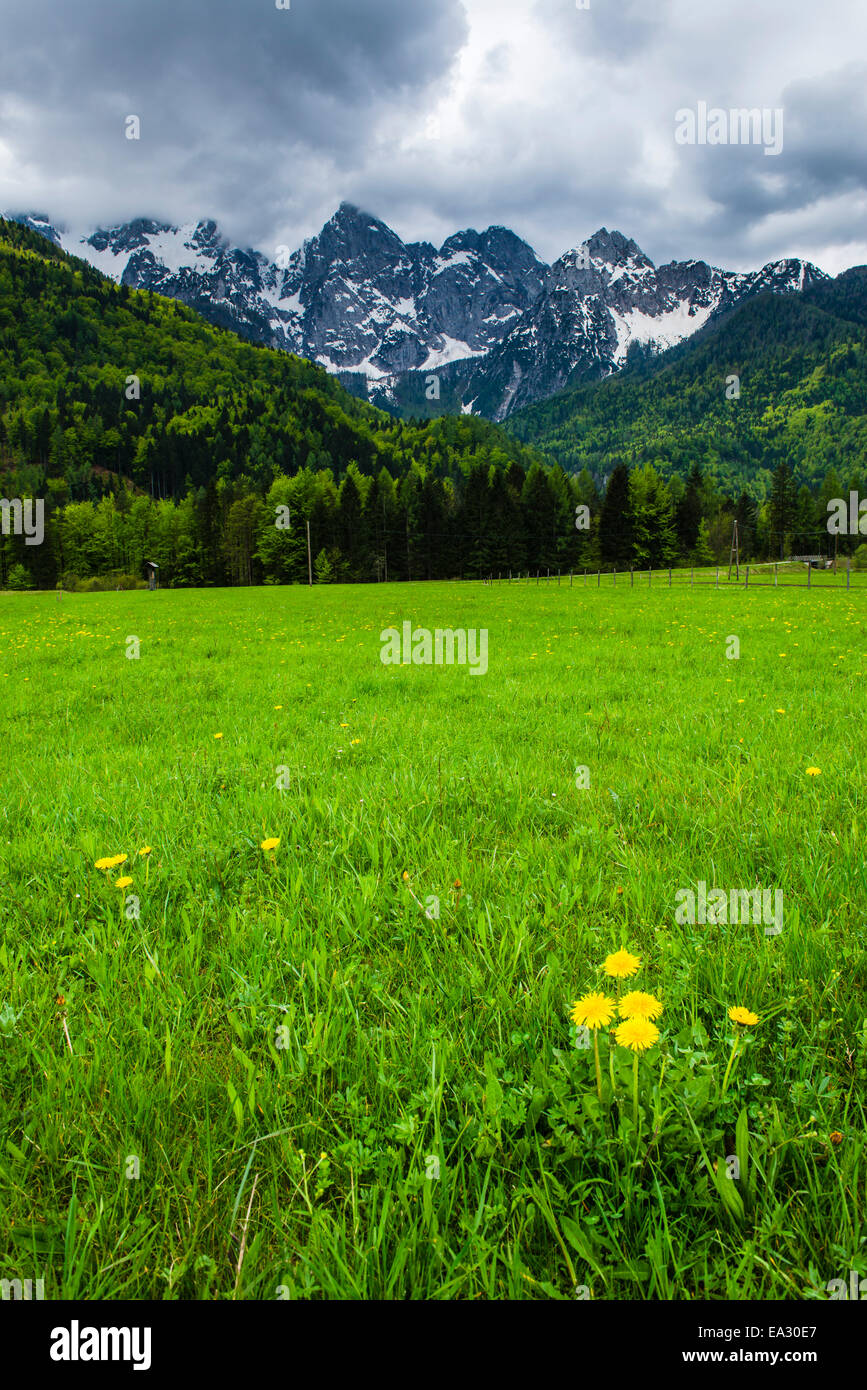 Julianischen Alpen Toren Kranjska Gora, Triglav Nationalpark, obere Krain, Slowenien, Europa Stockfoto