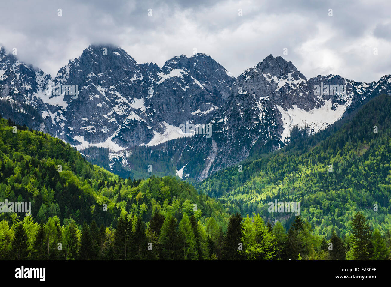Julianischen Alpen Toren Kranjska Gora, Triglav Nationalpark, obere Krain, Slowenien, Europa Stockfoto