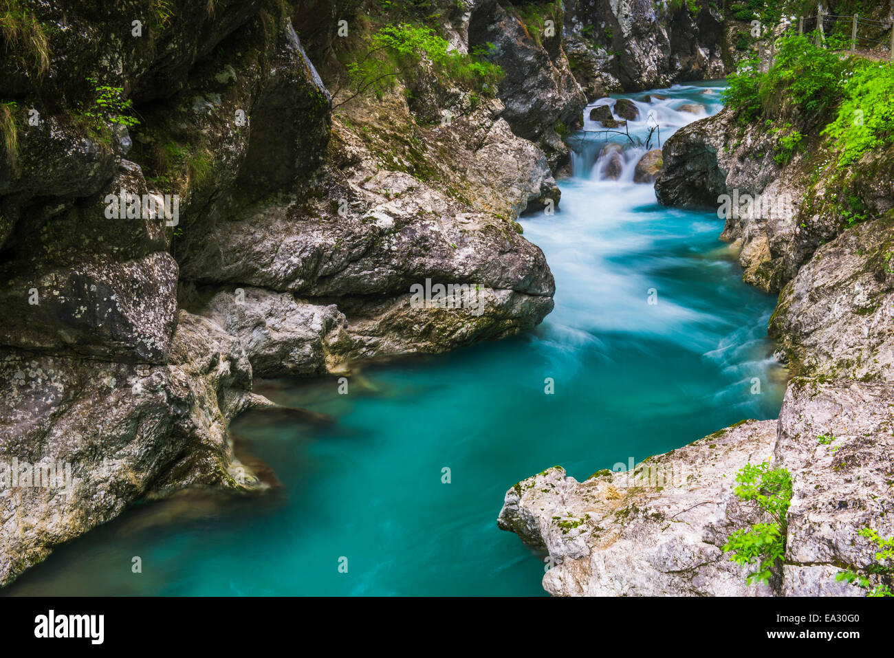 Tolminka River, Tolmin Schluchten, Triglav-Nationalpark (Triglavski Narodni Park), Slowenien, Europa Stockfoto