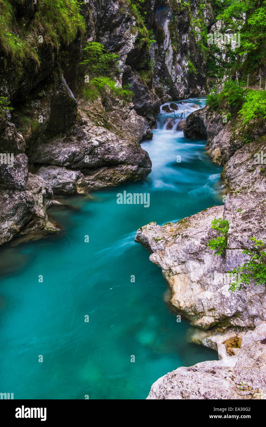Tolminka River, Tolmin Schluchten, Triglav-Nationalpark (Triglavski Narodni Park), Slowenien, Europa Stockfoto