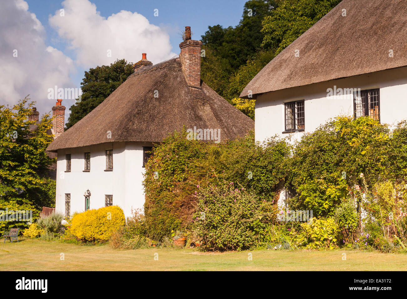 Strohgedeckten Hütten in Milton Abbas, Dorset, England, Vereinigtes Königreich, Europa Stockfoto